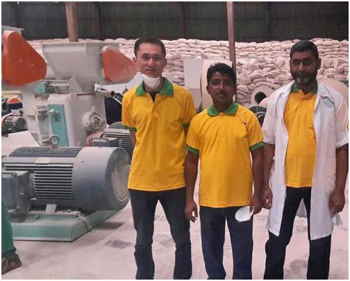 rice husk pellet making machine for sale
