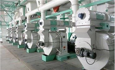 Nqaij qaib Tsiaj Tsiaj Tsiaj Qaib Nyuj Pub Zeb Zeb Ua Zaub